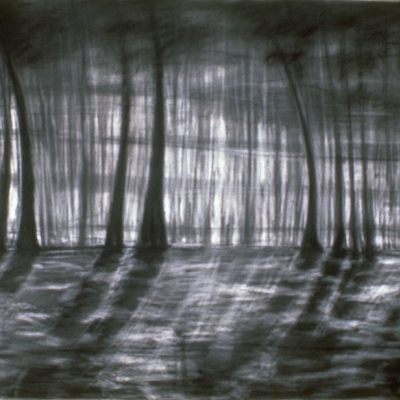 Untitled, 2003, Pastel and conté pencil on paper 48 x 96 inches